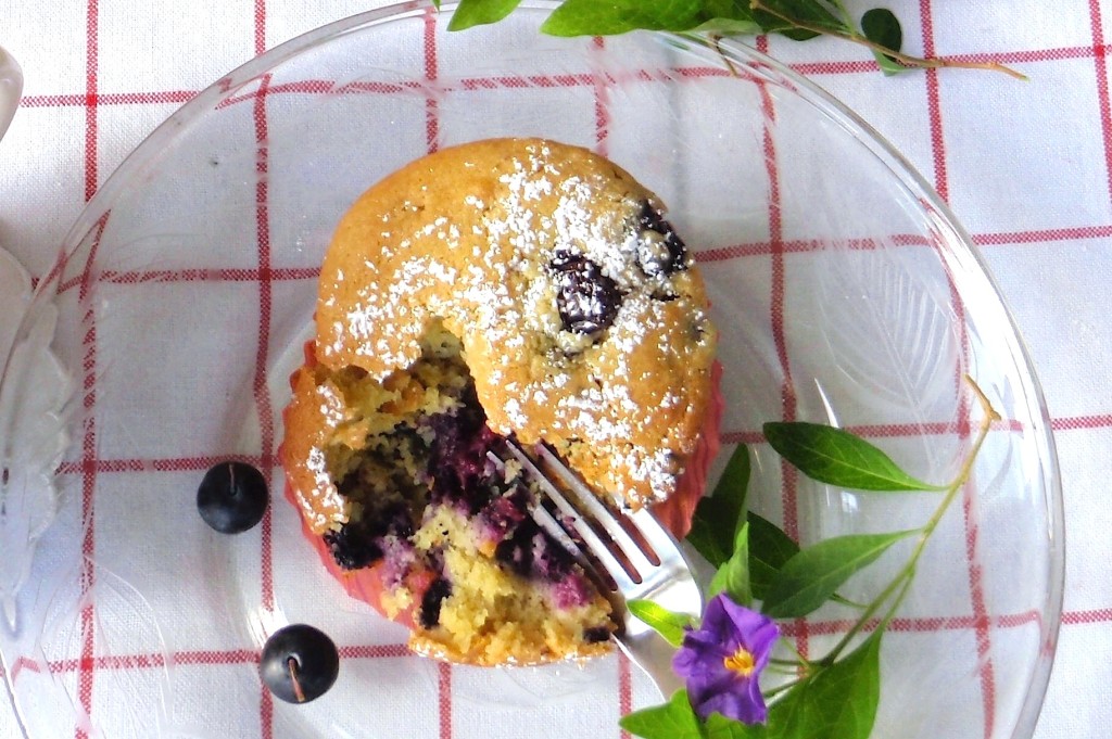 Blueberry Quinoa Muffins close up by Rhônya Holman