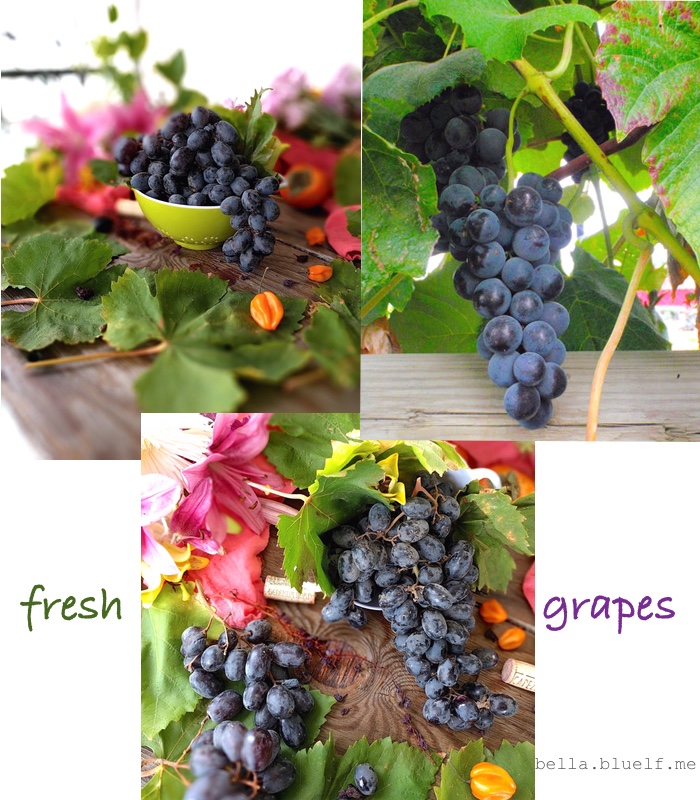 2016-fresh-grapes-collage-photo4-by-rhonya-holman