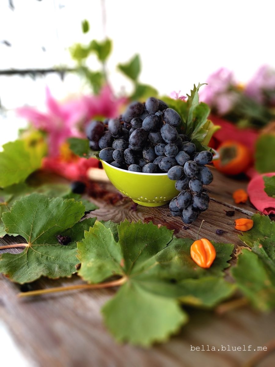 2016-grapes-closet-up_autumn-photo2-by-rhonya-holman