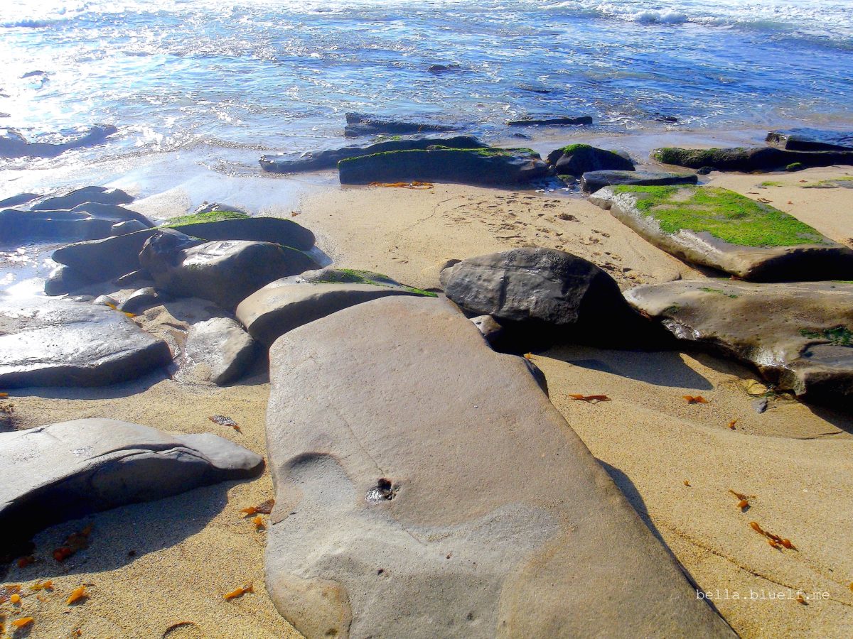 One of the little beaches in La Jolla.