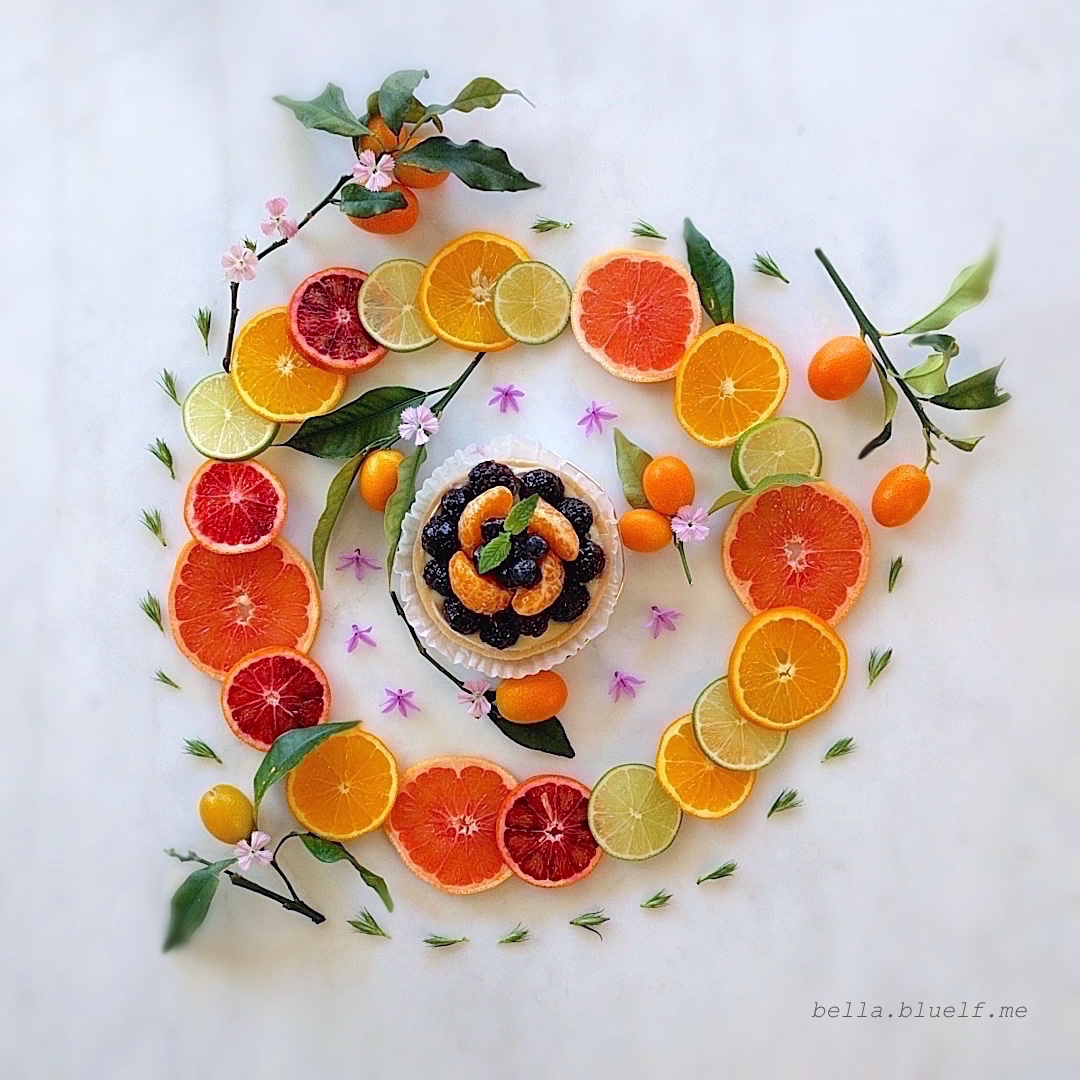 citrus fruit slices surrounding a fruit tarte dessert