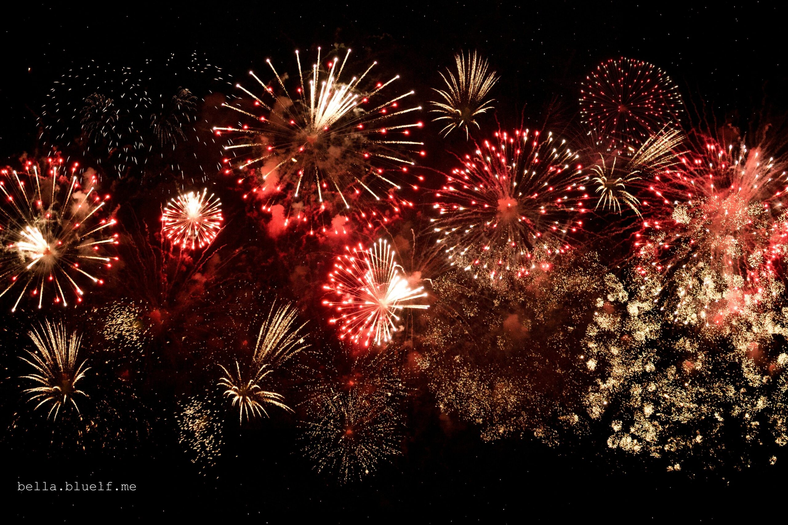 2024 - New Year Fireworks for Bella Bluelf Journal by Rhonya Obst