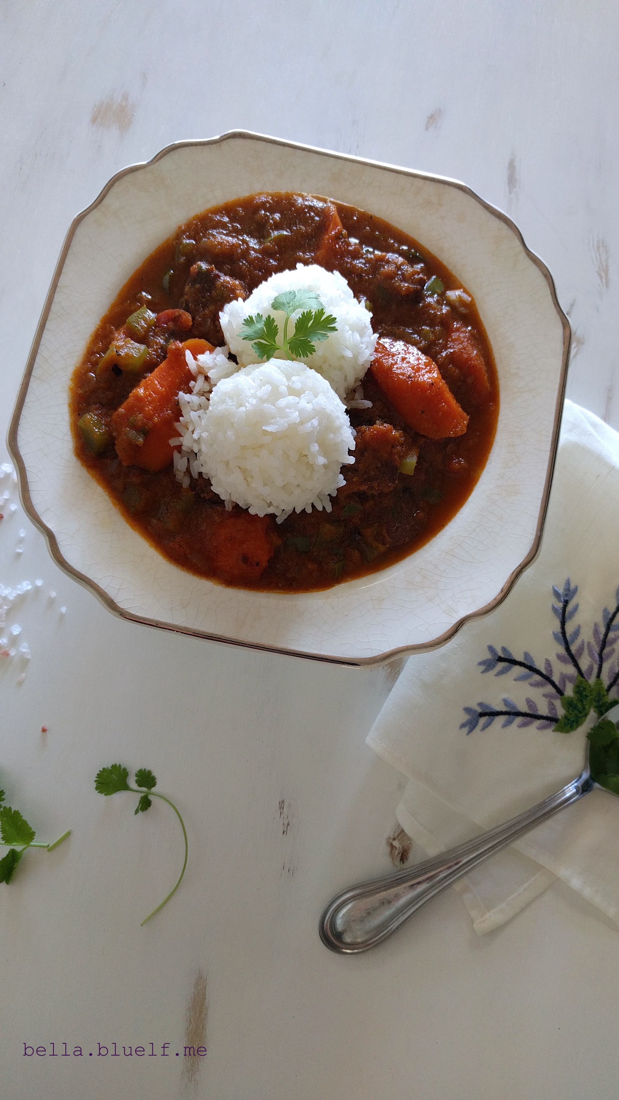 Carrots Stew with Angus Prime Beef - 2016 photo 2 by Rhônya Holman for bella.bluelf.me