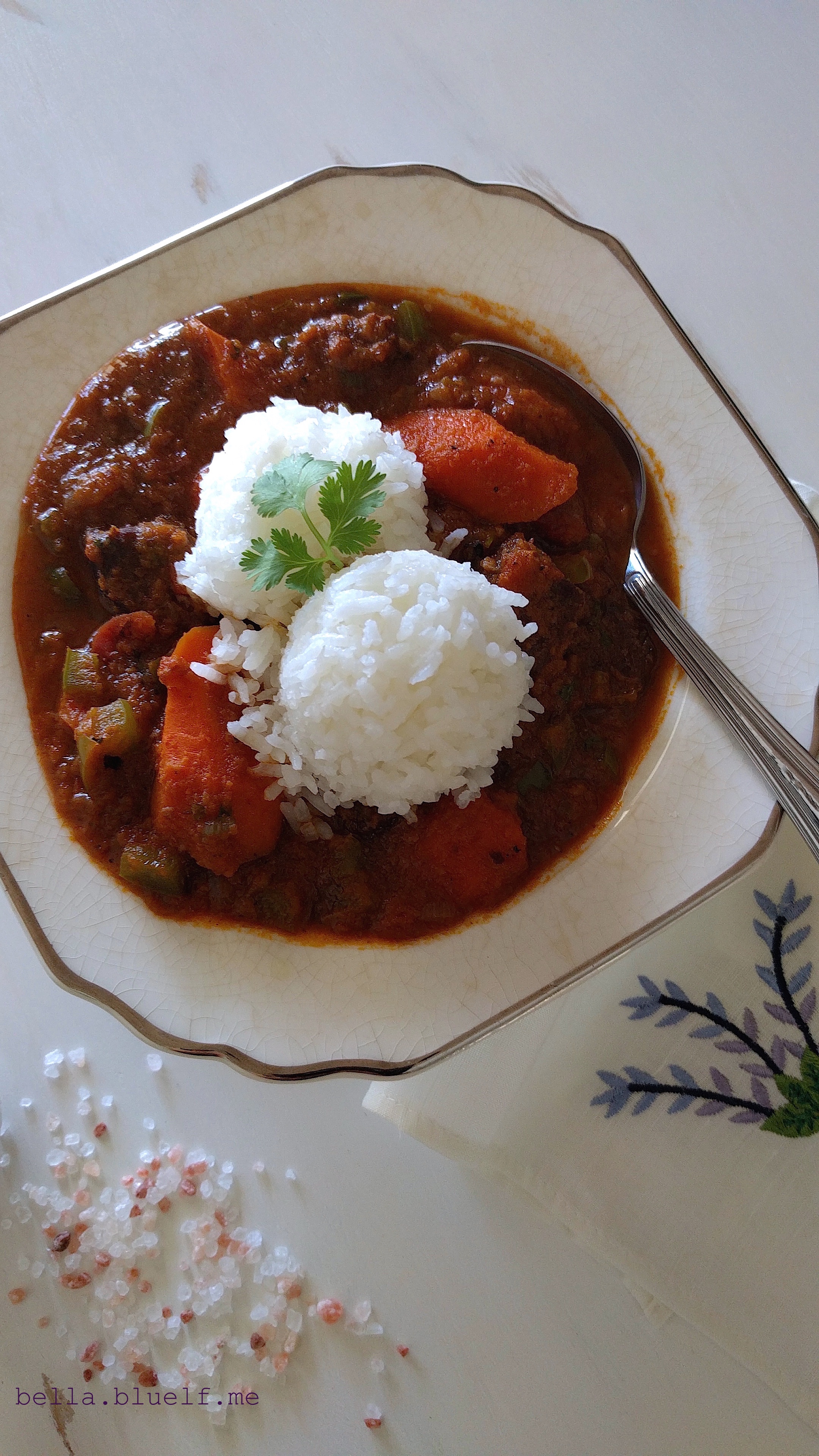 Carrots Stew with Prime Angus Beef - 2016 photo 3 by Rhônya Holman for bella.bluelf.me