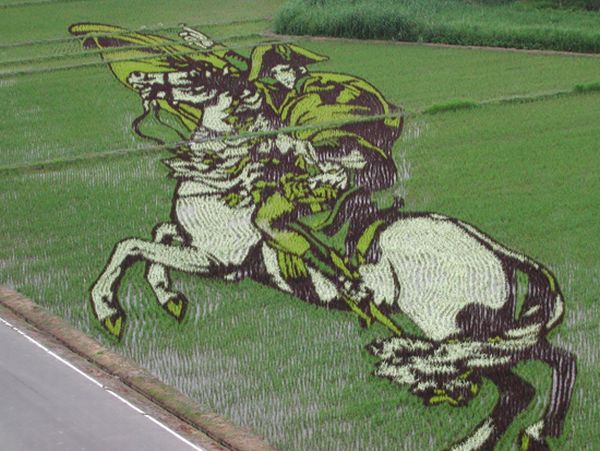 The Amazing Art of Japanese Rice Fields